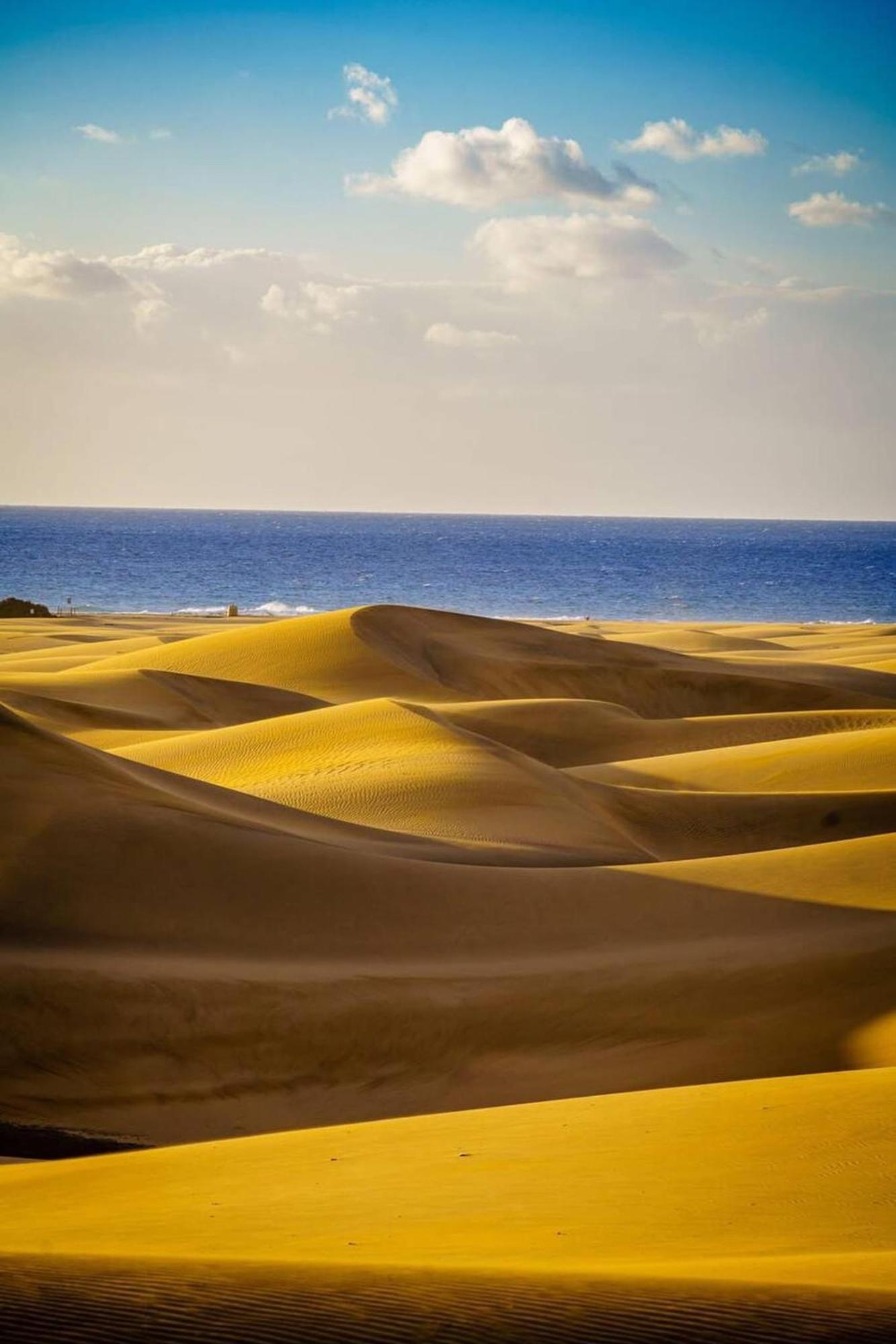 Sol Y Mar Dunas San Bartolomé 外观 照片